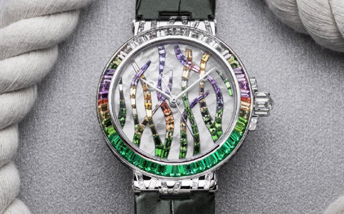 深圳寶璣維修點(寶璣表盤旋轉)